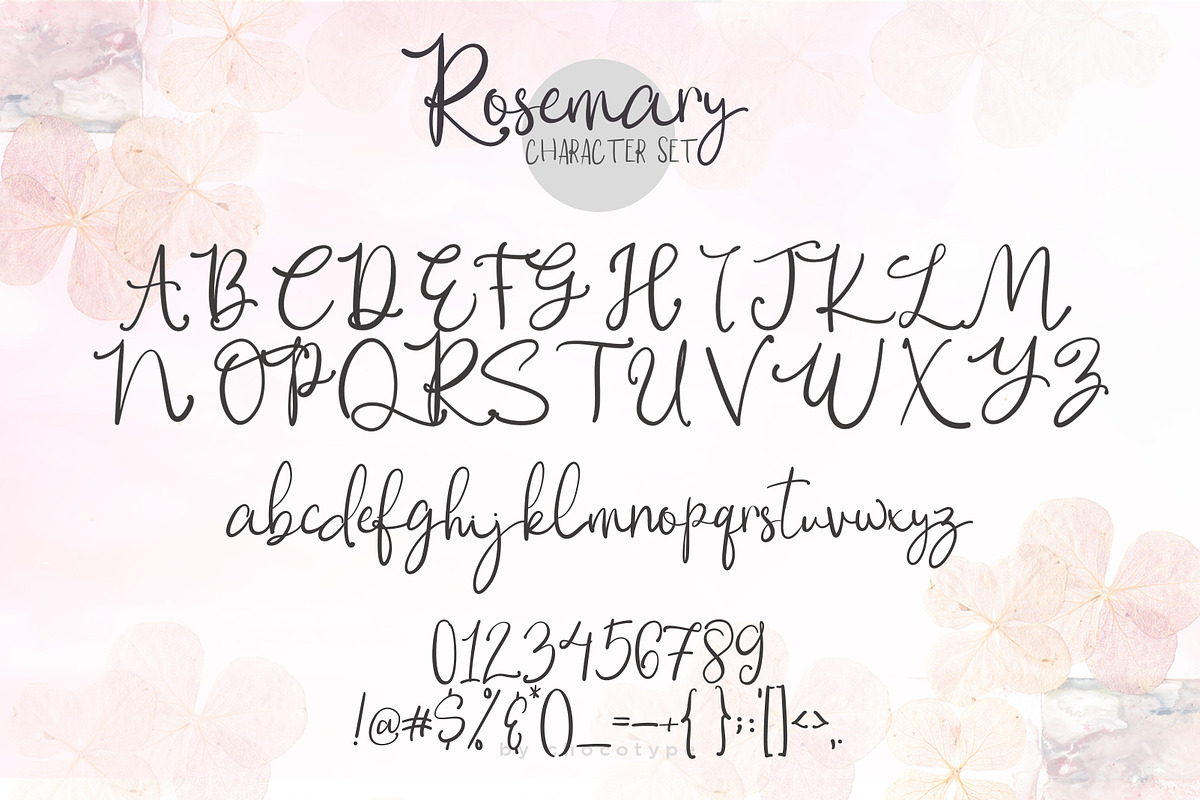 Rosemary Script! with Bonus!, a Script Font by Chocotype Std (Photo 9 of 10)