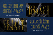 Srolemo Typeface, a Serif Font by alit design (Thumbnail 10 of 17)