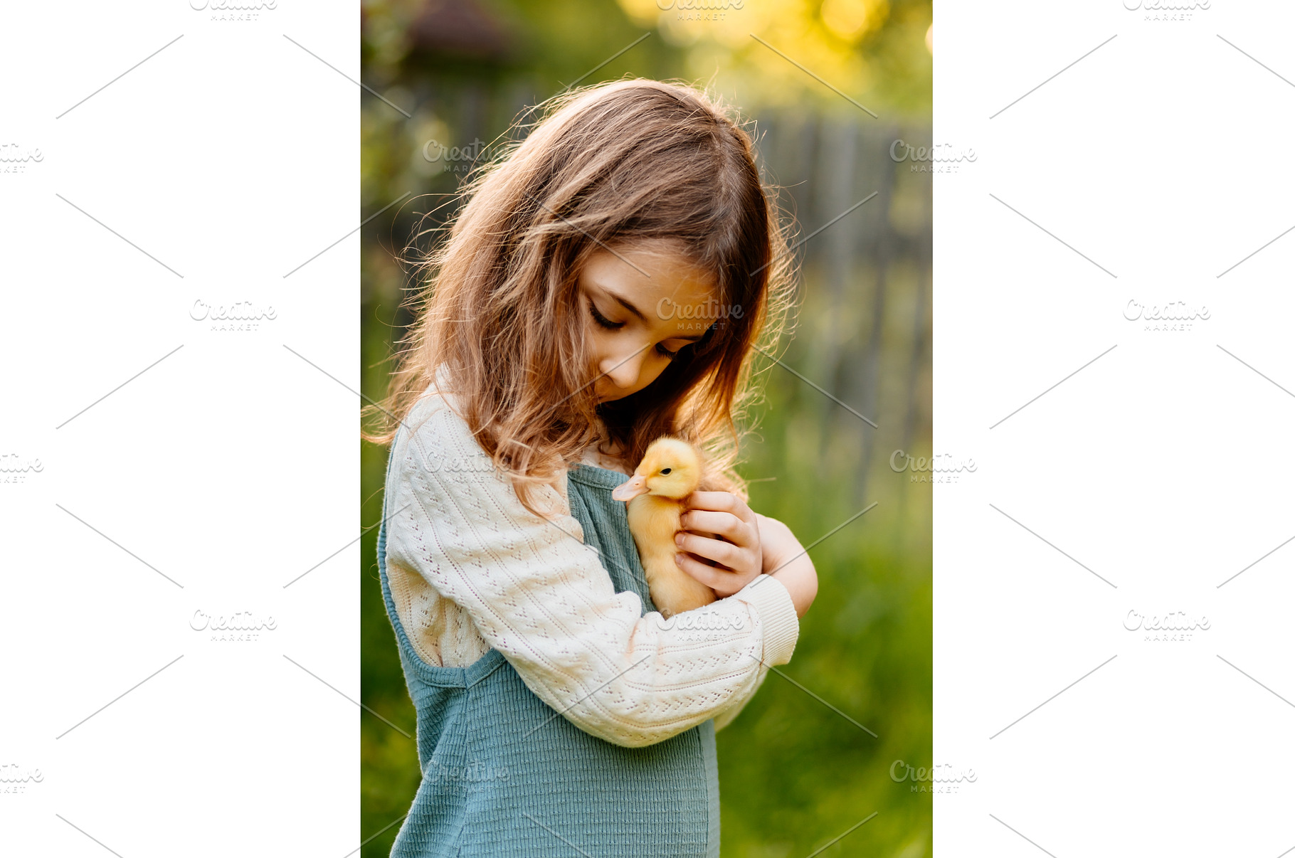 Lovely girl cuddling baby duckling., an Animal Photo by HalfPoint