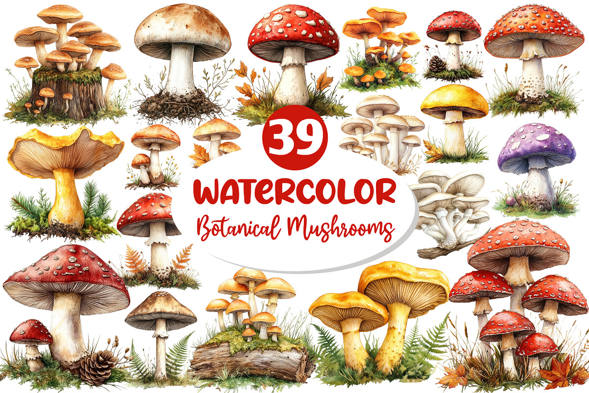 Botanical Autumn Mushrooms Clipart, an Illustration by Dream Creation (Photo 1 of 7)