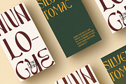 Munish, a Sans Serif Font by FactoryType Studio (Thumbnail 7 of 13)