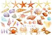 Watercolor starfish, shells, crabs, an Animal Illustration by Hanna Hryharenka (Thumbnail 2 of 12)