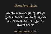 The Parkshore Font Collection, a Script Font by Hustle Supply Co. (Thumbnail 8 of 11)
