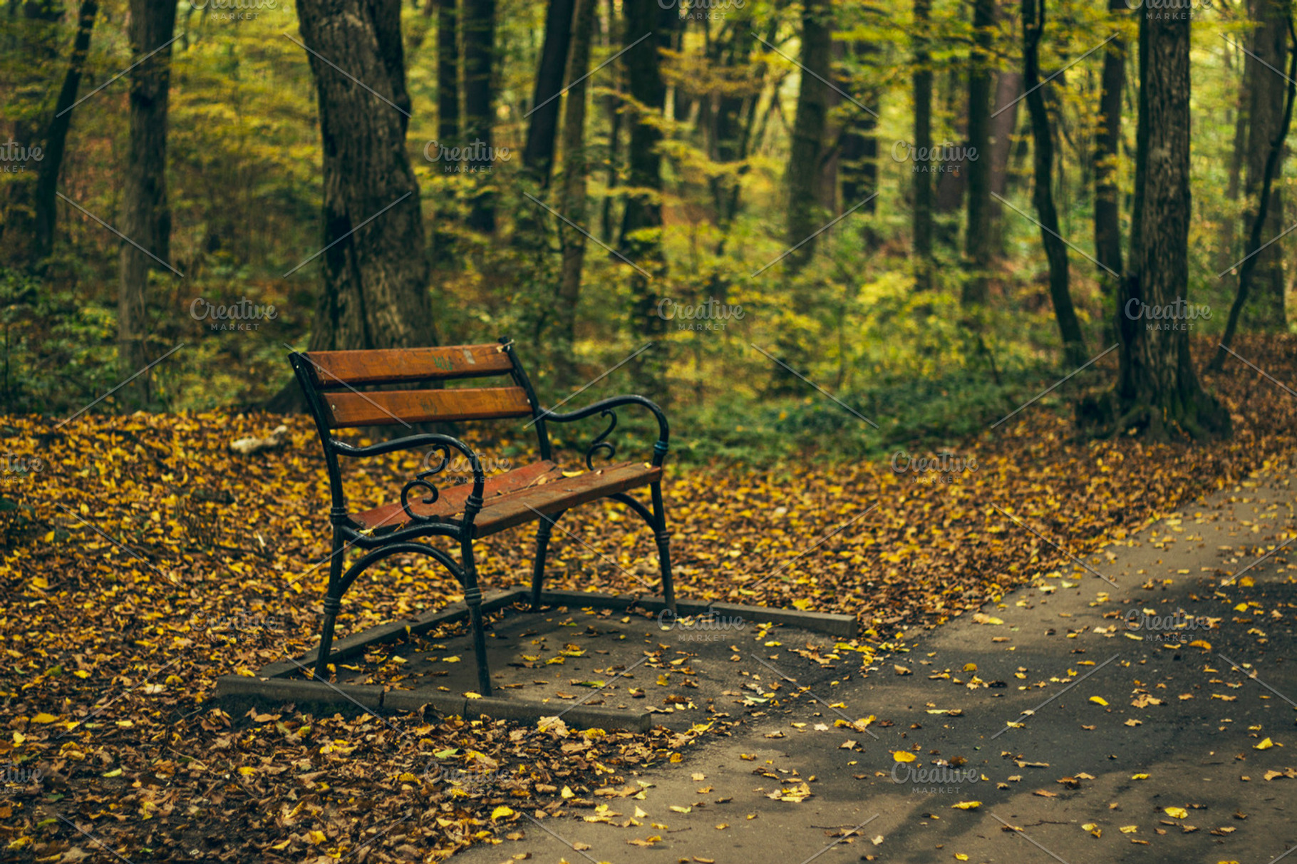 Autumn landscape 1 containing autumn landscape, autumn, and landscape, a Nature Photo by Pixelglow Images