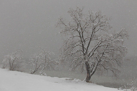 Park In Winter preview 6