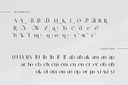 Vionie Sans Serif Font, a Sans Serif Font by Ermedia Studio (Thumbnail 11 of 12)