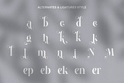 Mikend Modern Serif Font, a Serif Font by Alfinart (Thumbnail 9 of 10)