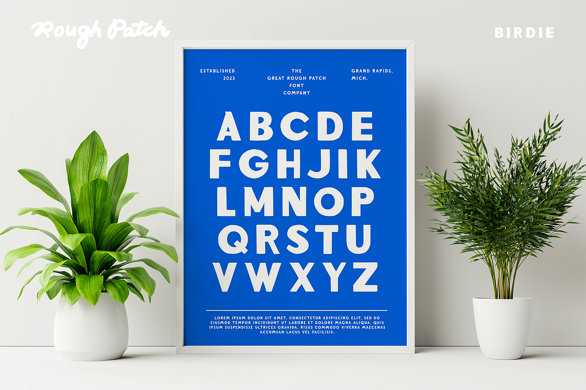 Birdie | Hand Drawn Sans Serif, a Sans Serif Font by Rough Patch Studio (Photo 4 of 7)