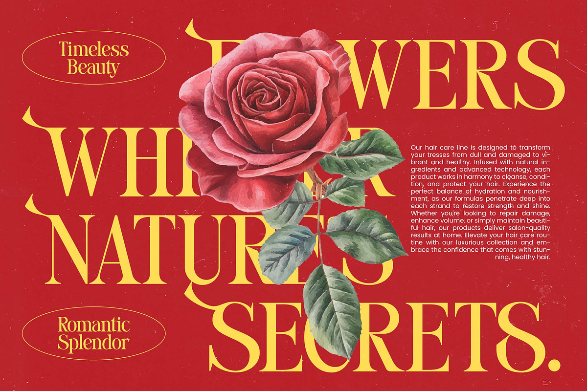 Stories Grand Modern Display Serif, a Serif Font by timelesstype.co (Photo 3 of 20)