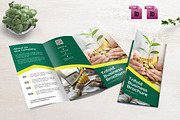 Trifold Business Brochure, a Brochure Template by yanindesign (Thumbnail 1 of 3)