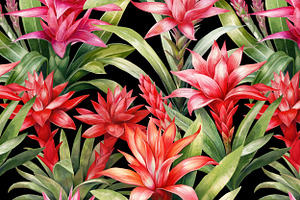 Floral Exotic Clipart Guzmania