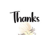 Pride | Script Font, a Script Font by Scratchones (Thumbnail 2 of 8)