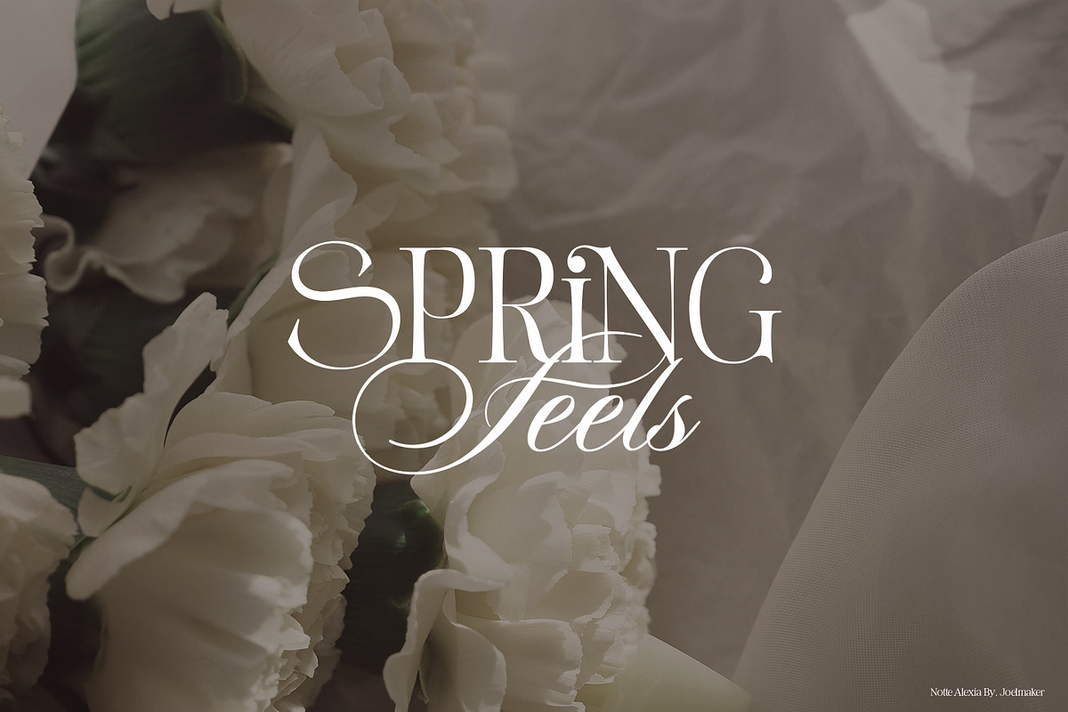 Notte Alexia, a Script Font by joelmaker (Photo 22 of 25)