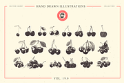 VECTOR CHERRY HAND DRAWN BUNDLE v18, a Food Illustration by pawellpi (Thumbnail 5 of 5)
