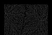 Growth - 10 Backgrounds, a Texture Graphic by GarryKillian (Thumbnail 10 of 11)