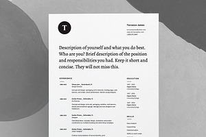 Opus Modern Resume Template / CV