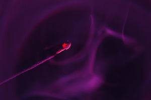 Smoldering cigarette smoke light neon flow steam, a Background Photo by Photo Drive Studio
