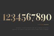 The Versatile Font Bundle, a Sans Serif Font by AlienValley (Thumbnail 47 of 141)