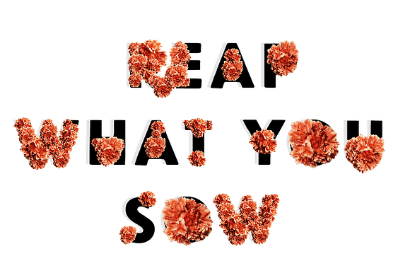 Reap What You Sow Flowers preview 3