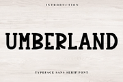 Umberland, a Serif Font by InermediaSTUDIO (Thumbnail 7 of 7)