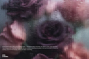 Fluted Bloom - Background Set, a Background Graphic by Nenjo Studio (Thumbnail 5 of 8)