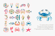 Tropical reef clipart set, a Decorative Illustration by Patishop Art (Thumbnail 7 of 10)