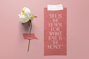 Classic Gallery – Claasic Condense, a Serif Font by Almarkhatype (Thumbnail 4 of 10)