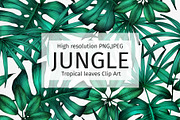 JUNGLE leaves Clip Art., an Illustration by ARTVracovska (Thumbnail 1 of 5)