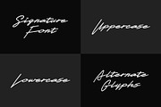 Xenasign Font, a Script Font by nIznaztype (Thumbnail 2 of 6)