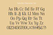 Naivelist, a Serif Font by din-studio.com (Thumbnail 8 of 10)