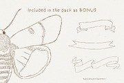 The Procreate Botanical Box, a Brush Add-On by Just Bia (Thumbnail 11 of 15)