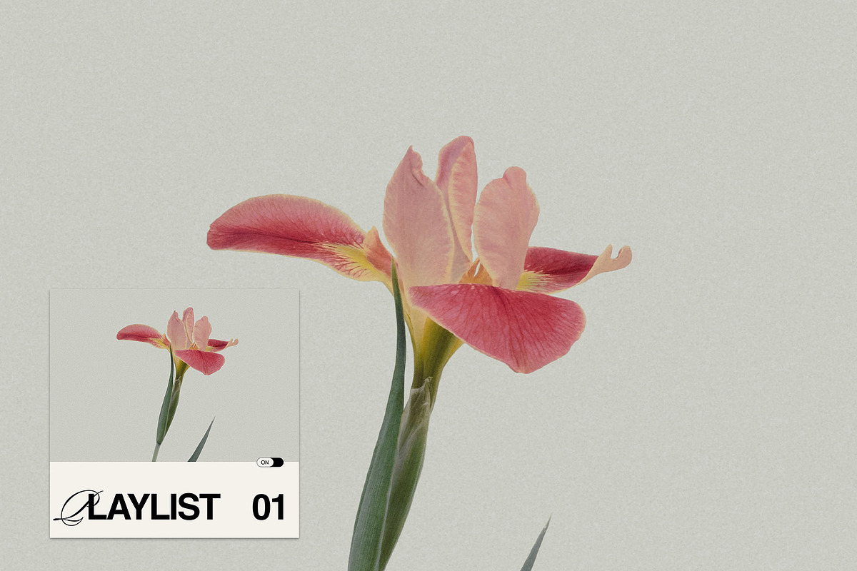 MIEL Social Media Tiles, a Social Media Template by TheMockeryShop (Photo 4 of 4)