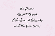 Oakley May Script, a Script Font by Beck McCormick (Thumbnail 8 of 9)