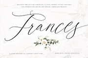 Frances | Modern Calligraphy Script, a Script Font by Pink Coffie (Thumbnail 1 of 11)