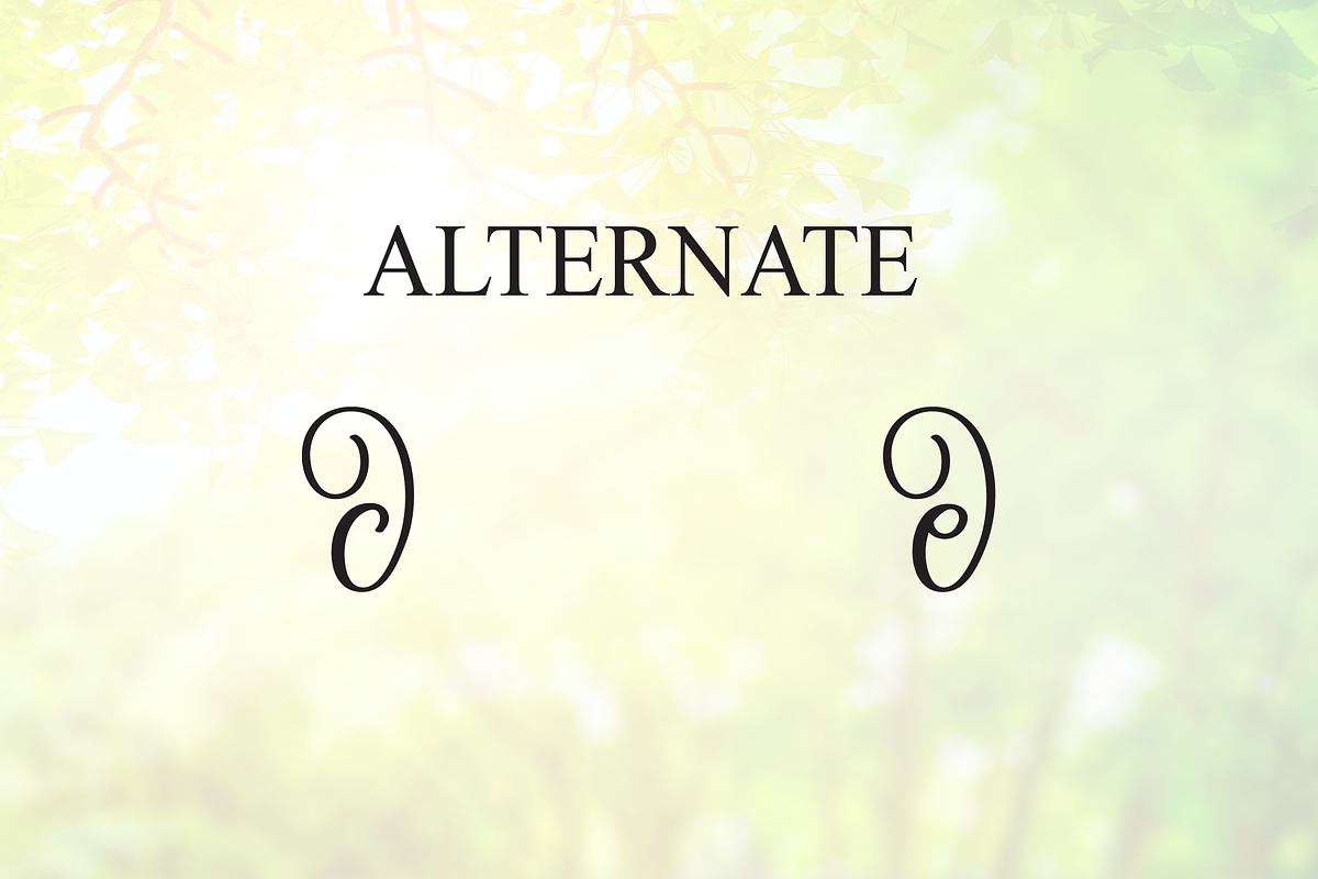 Sunshine | Script Font, a Handwritten Font by Scratchones (Photo 8 of 9)