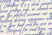 Estone Dreamwell Elegant Script Font, a Script Font by Letterena Studios Script (Thumbnail 12 of 20)