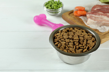 Concept of organic pet food on wooden background, a Food & Drink Photo by AtlasStudio PRO