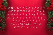 Christmas Beauty Day Font, a Handwritten Font by Onotype (Thumbnail 4 of 5)