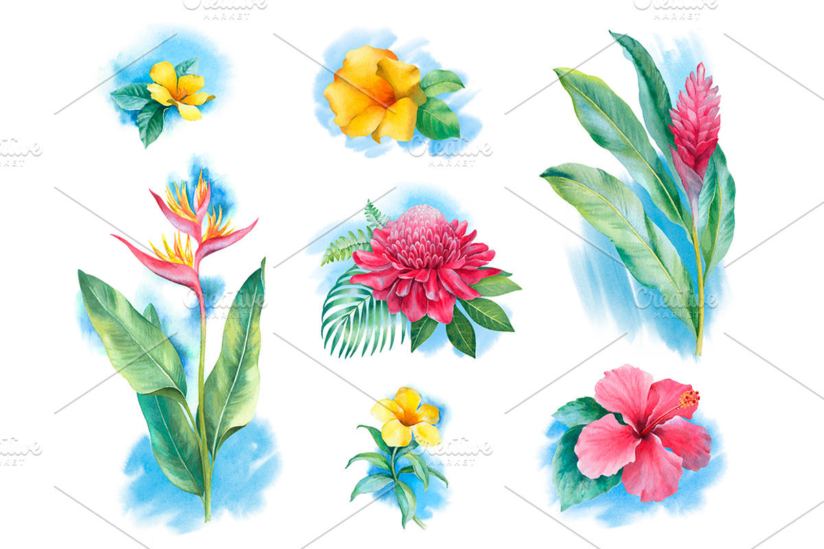 Tropical flora, a Texture Illustration by Sundra (Photo 15 of 15)