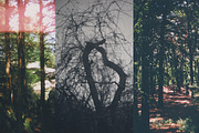 45 Nature Snapshots (Lomo LC-A), a Nature Photo by Studio Rho (Thumbnail 4 of 11)