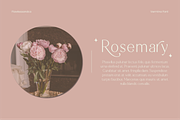 Vermina - Alternate Sans Serif, a Sans Serif Font by Flawless And Co (Thumbnail 7 of 10)