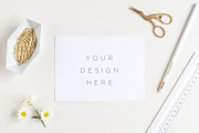 The Daisy Bundle - 11 Mockups +photo, a Product Mockup by Salt Color Studio (Thumbnail 10 of 13)
