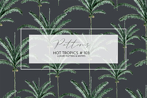 Hot Tropics