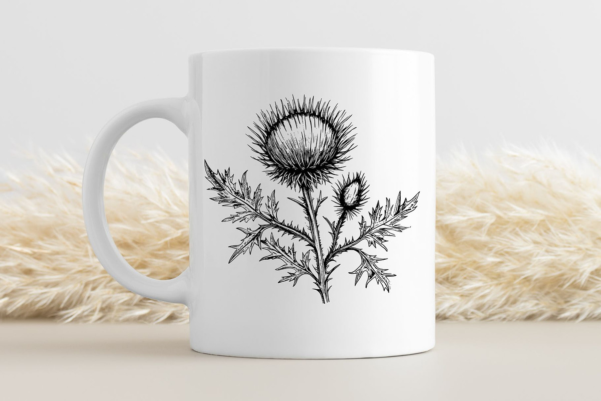 Thistle SVG - Thistle Clipart, an Illustration by YouniqueArtwork (Photo 2 of 5)