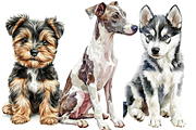 Watercolor Puppies Clipart, an Animal Illustration by PrintHaven Designs (Thumbnail 9 of 10)