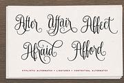 Nouradilla Script, a Script Font by Mikrojihad Typography (Thumbnail 4 of 8)