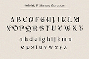 The Executive Casual, a Serif Font by Fontsgood (Thumbnail 11 of 13)