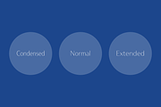 Ainslie Contrast, a Sans Serif Font by insigne (Thumbnail 2 of 5)