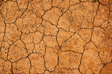 Brown dry soil background.