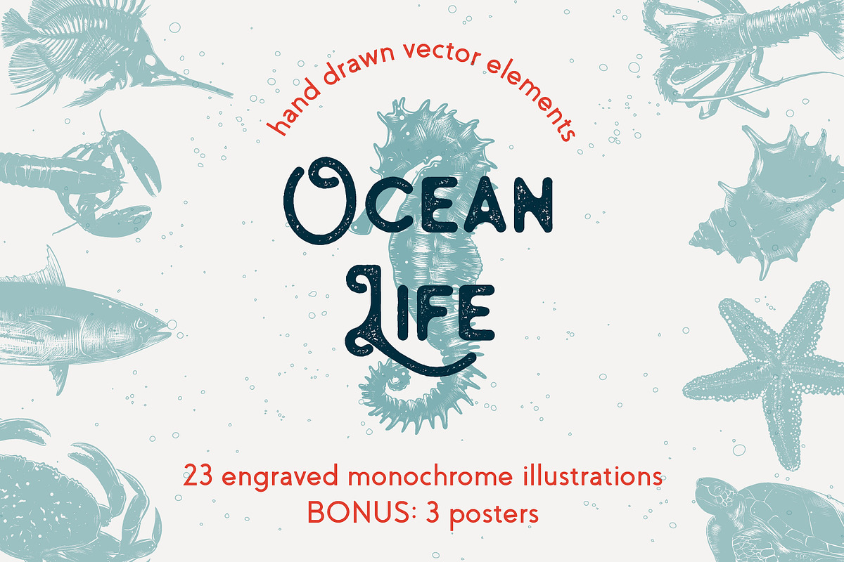 Ocean life hand drawn sketches, an Animal Illustration by Akimo Mia (Photo 1 of 7)